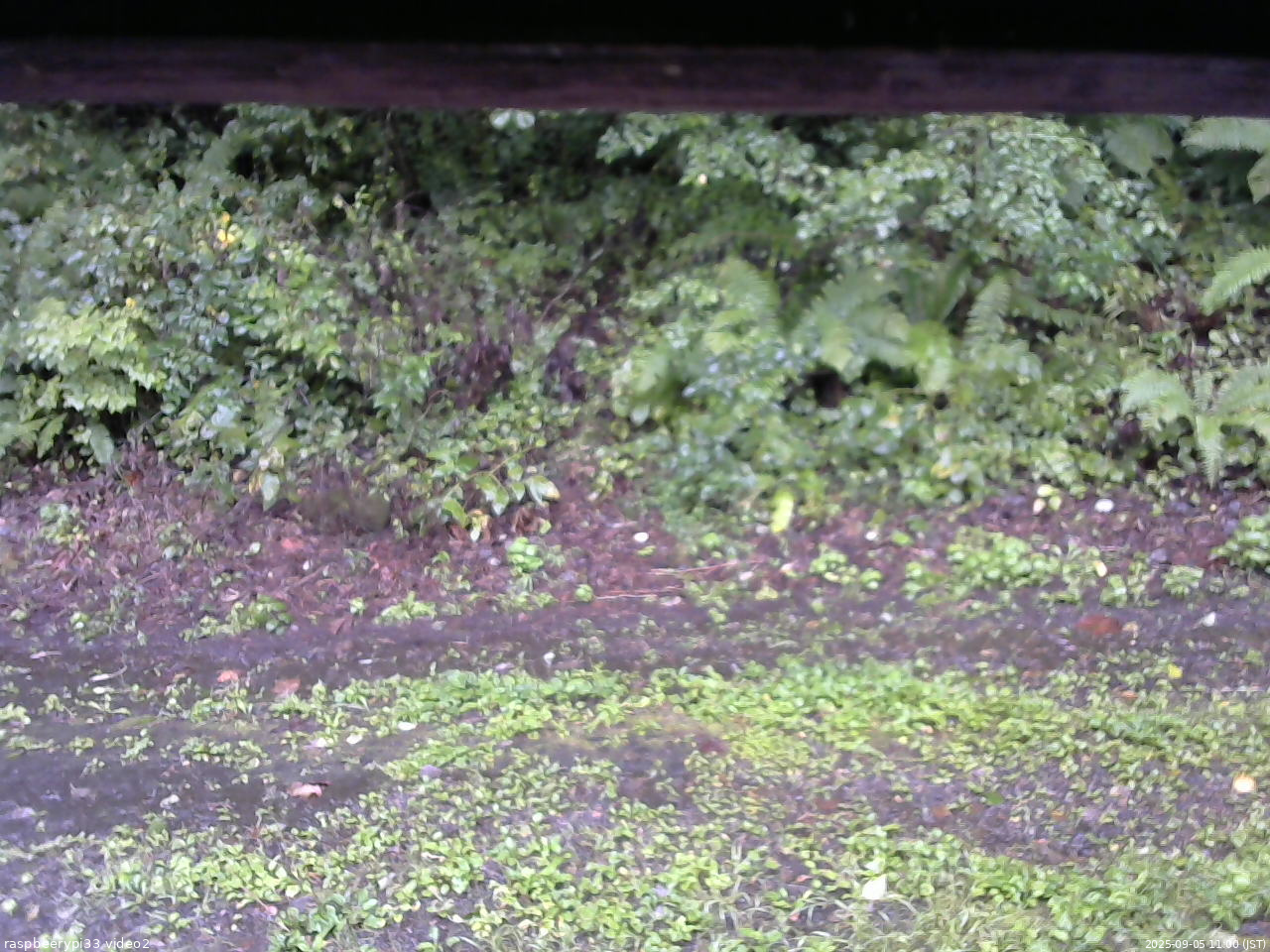 長野県菅平高原 ゆたか山荘 南側 2025/09/05 11:00