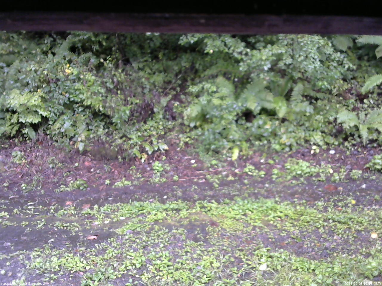 長野県菅平高原 ゆたか山荘 南側 2025/09/05 11:15