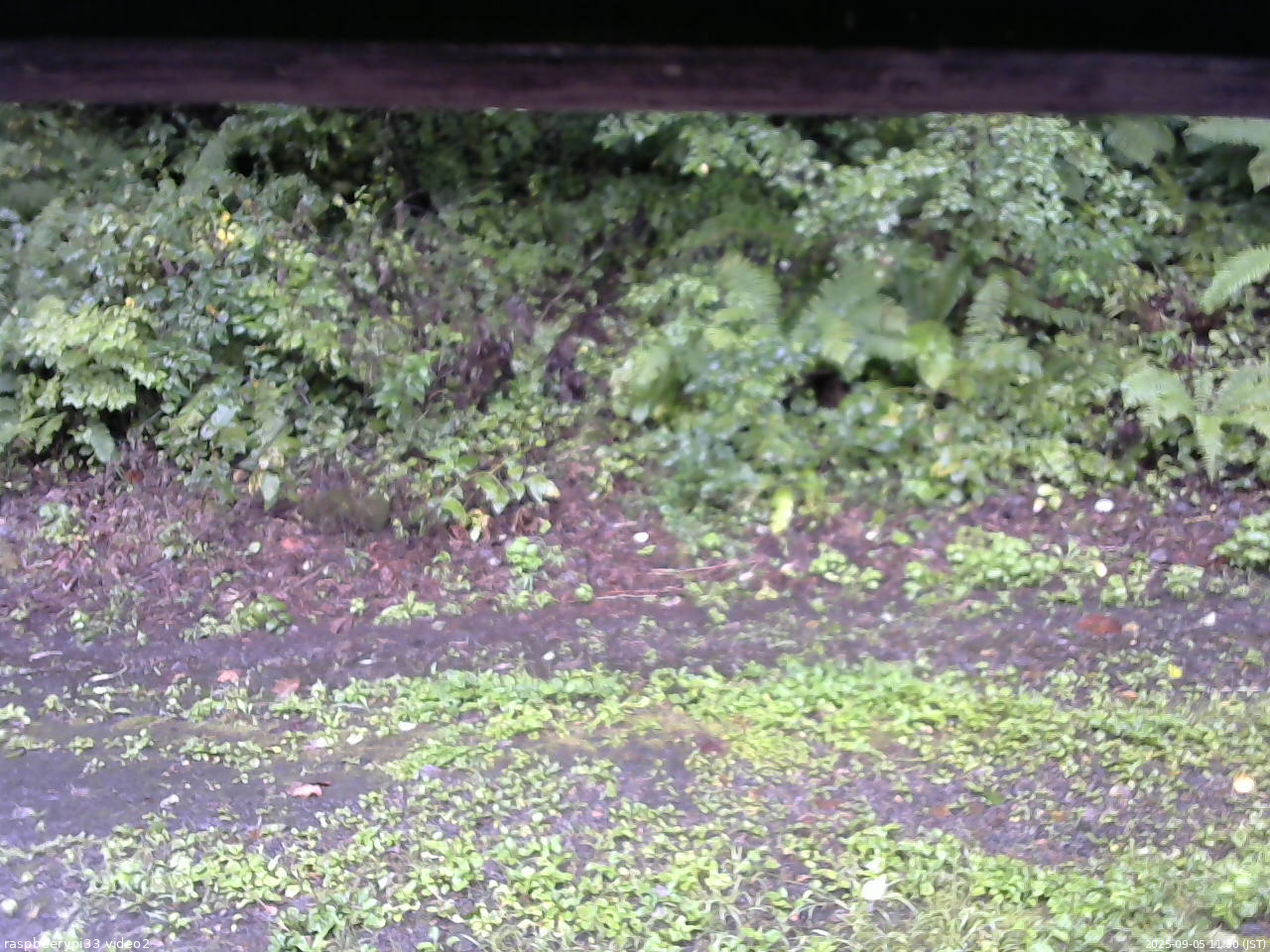 長野県菅平高原 ゆたか山荘 南側 2025/09/05 11:30