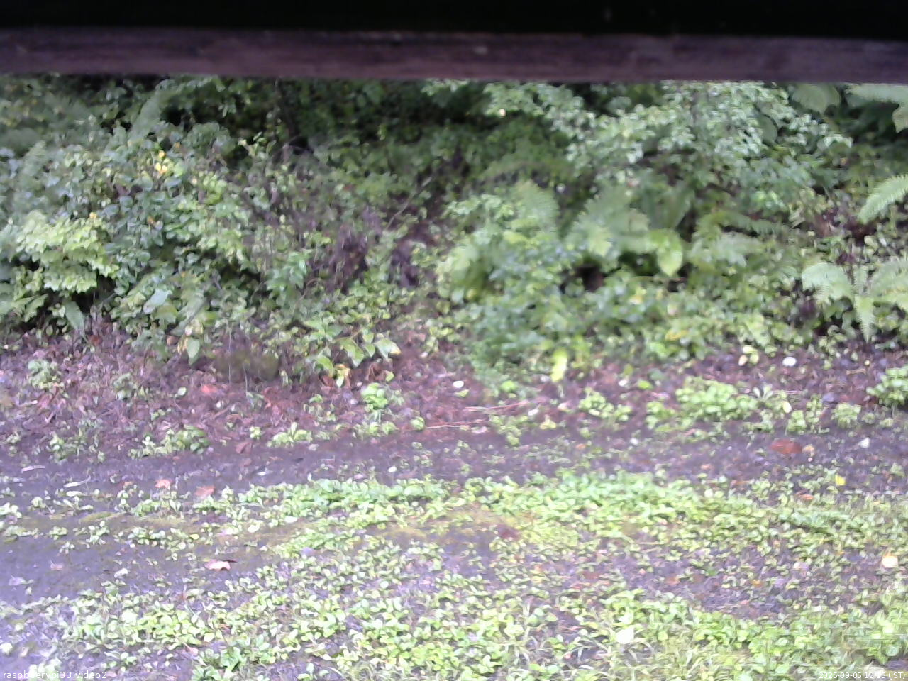 長野県菅平高原 ゆたか山荘 南側 2025/09/05 12:15