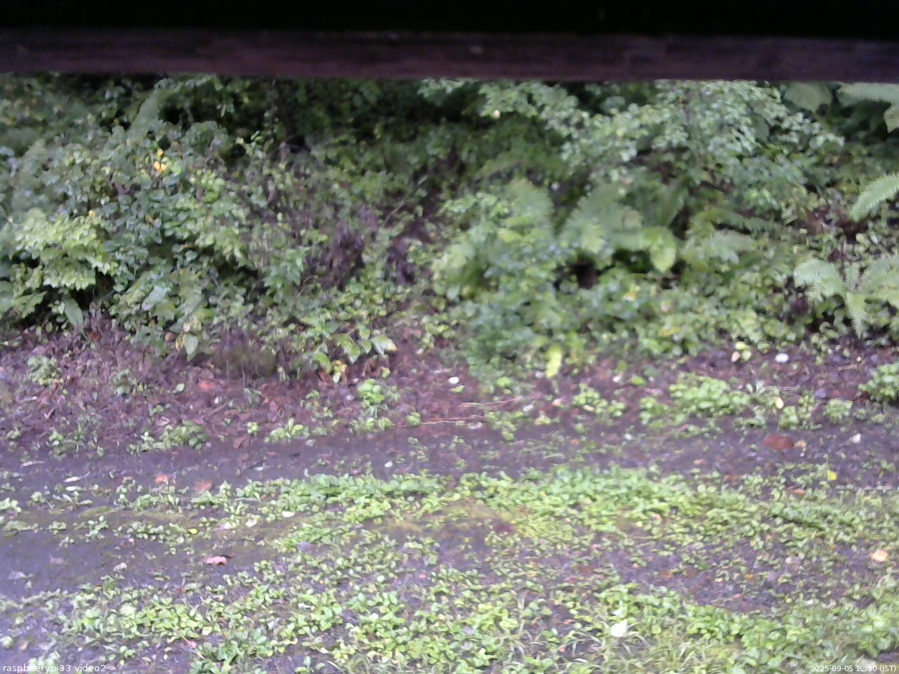 長野県菅平高原 ゆたか山荘 南側 2025/09/05 12:30