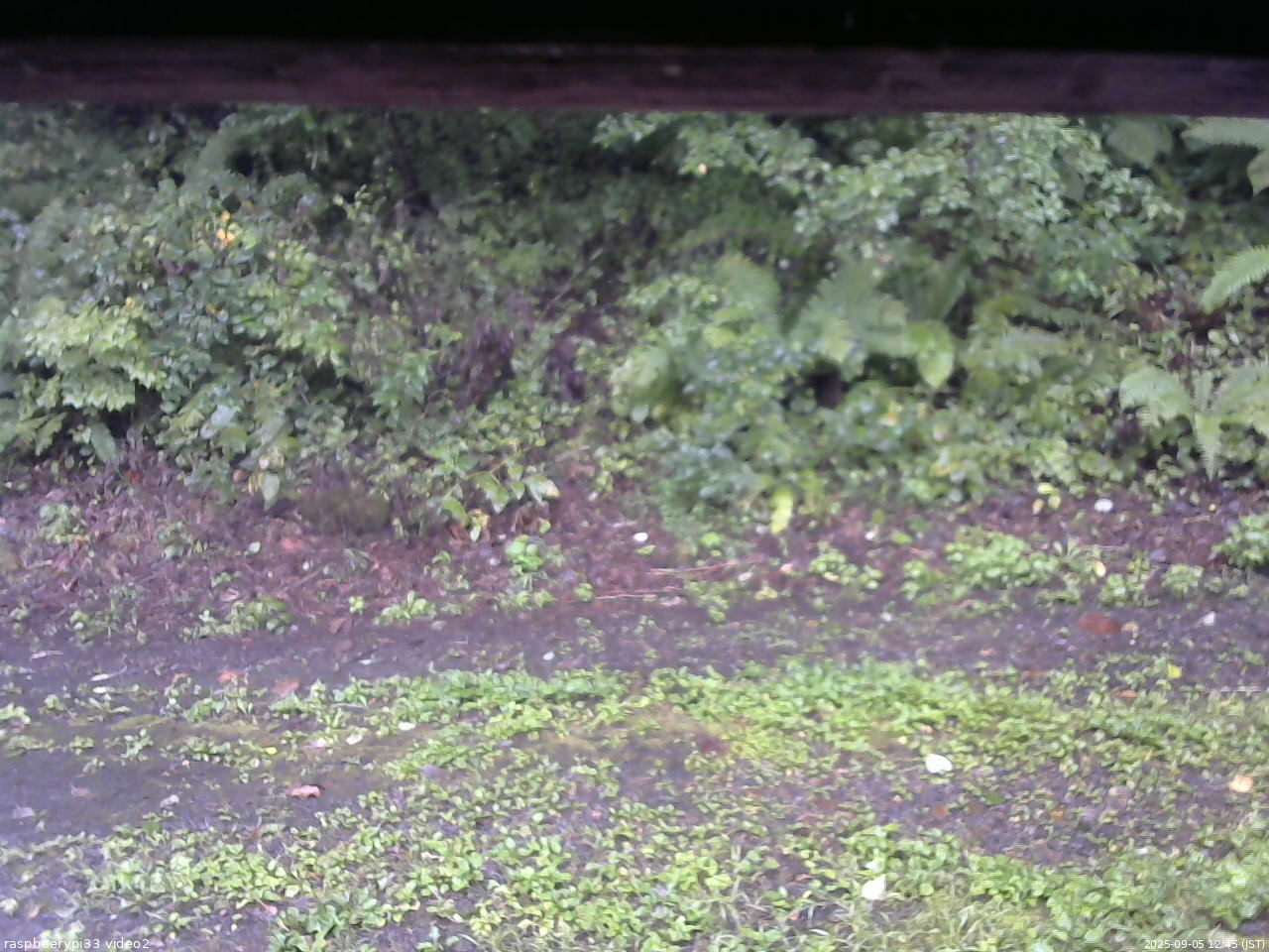 長野県菅平高原 ゆたか山荘 南側 2025/09/05 12:45