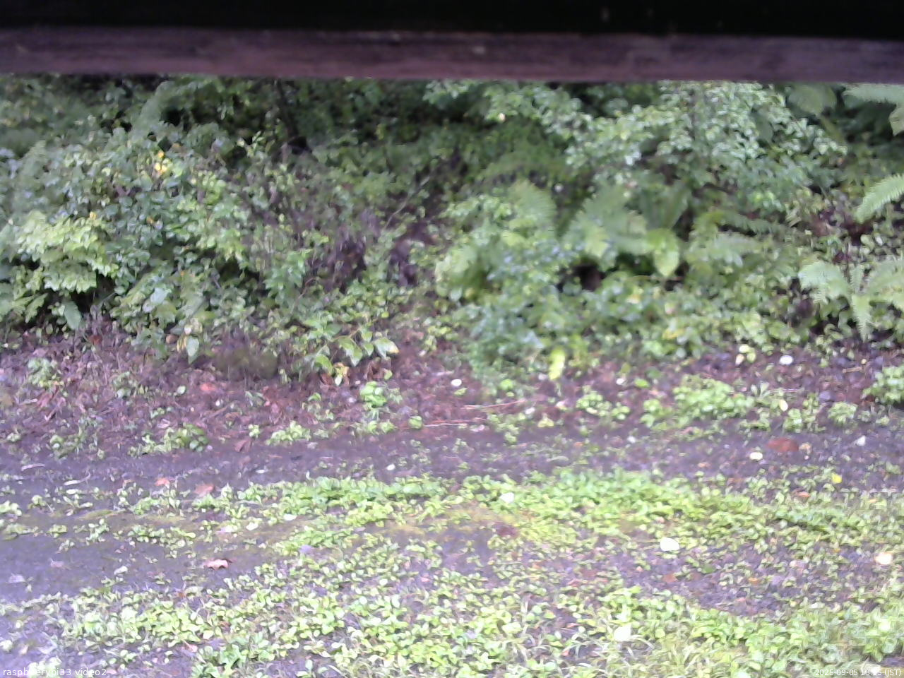 長野県菅平高原 ゆたか山荘 南側 2025/09/05 13:15