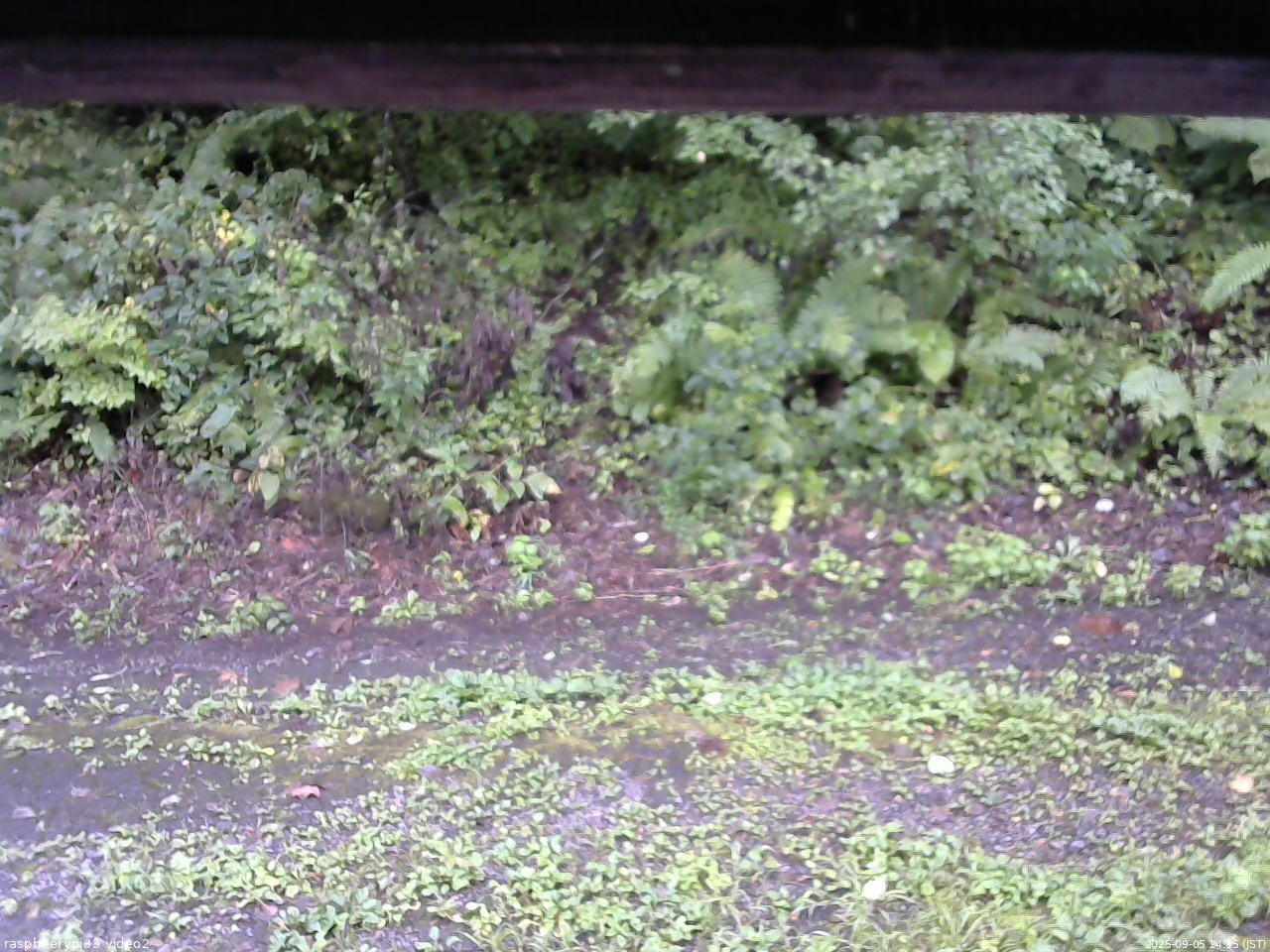長野県菅平高原 ゆたか山荘 南側 2025/09/05 14:15