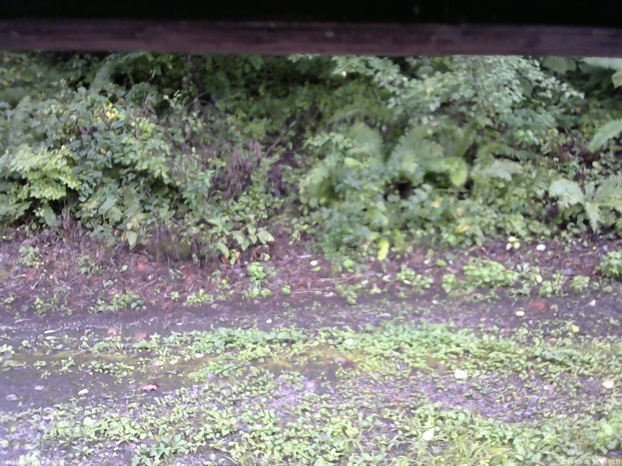 長野県菅平高原 ゆたか山荘 南側 2025/09/05 14:45