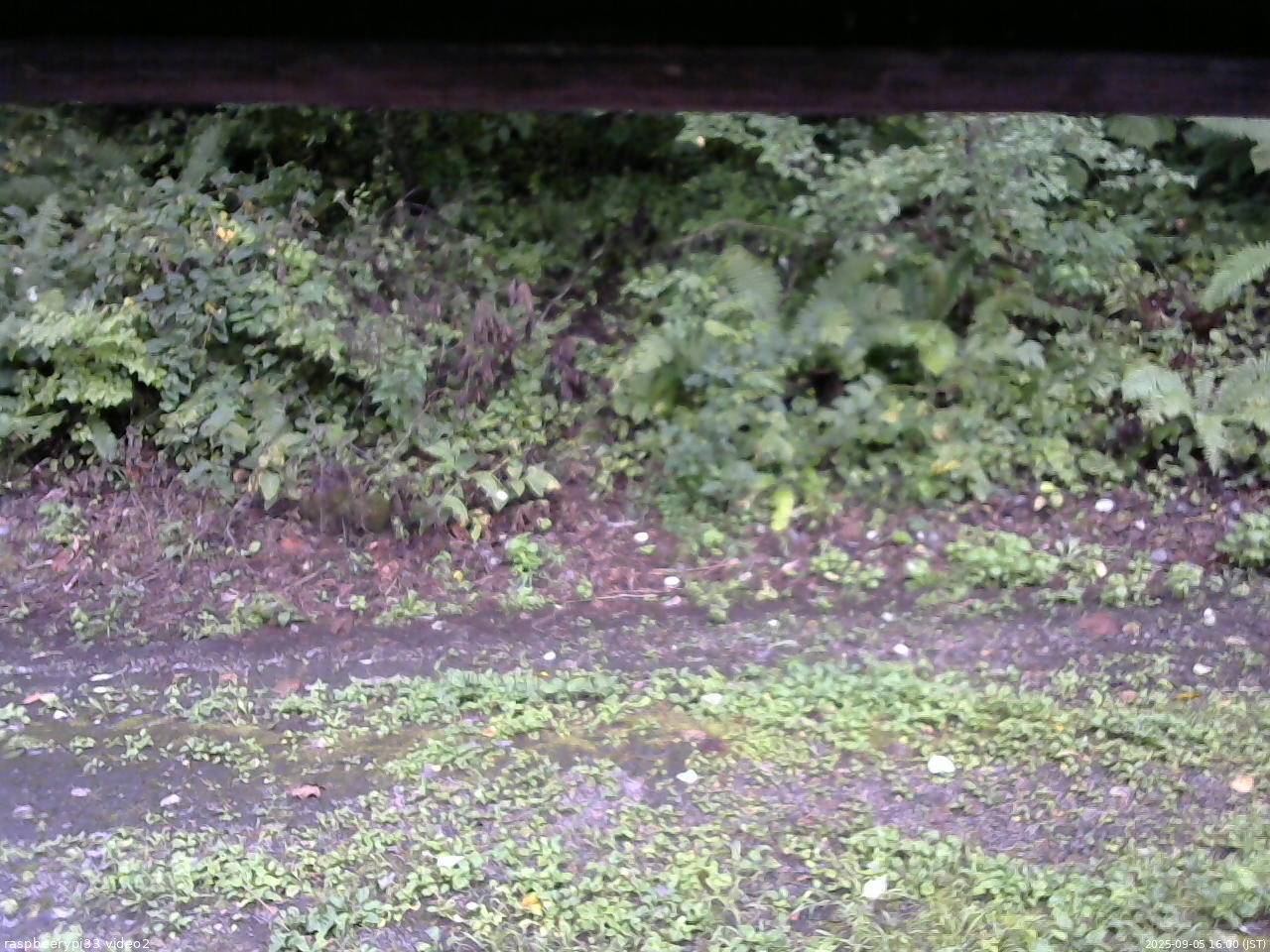 長野県菅平高原 ゆたか山荘 南側 2025/09/05 16:00