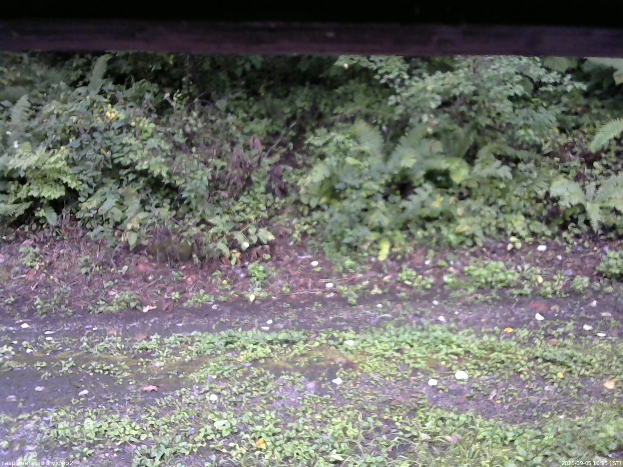 長野県菅平高原 ゆたか山荘 南側 2025/09/05 16:15