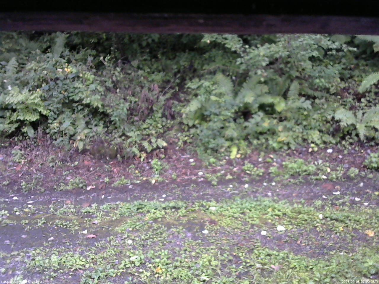 長野県菅平高原 ゆたか山荘 南側 2025/09/05 17:00