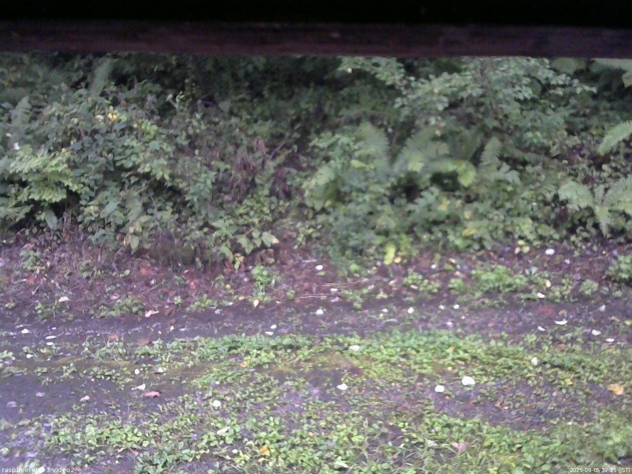 長野県菅平高原 ゆたか山荘 南側 2025/09/05 17:15