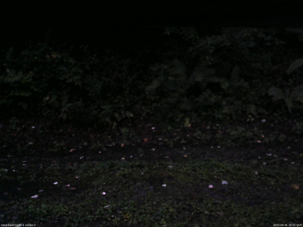 長野県菅平高原 ゆたか山荘 南側 2025/09/05 18:15