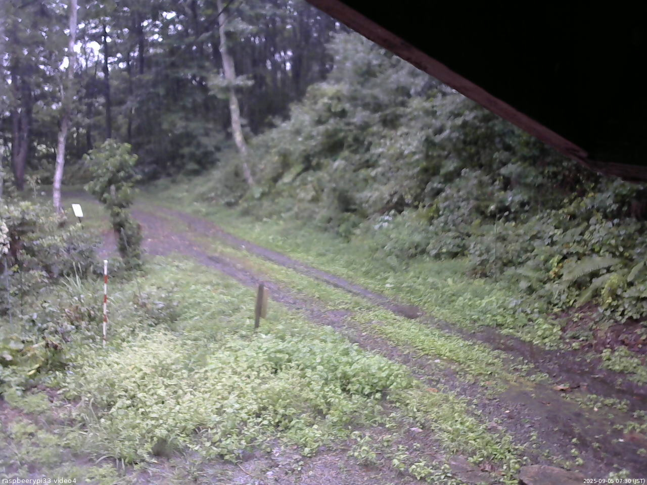 長野県菅平高原 ゆたか山荘 東側(坂下) 2025/09/05 07:30