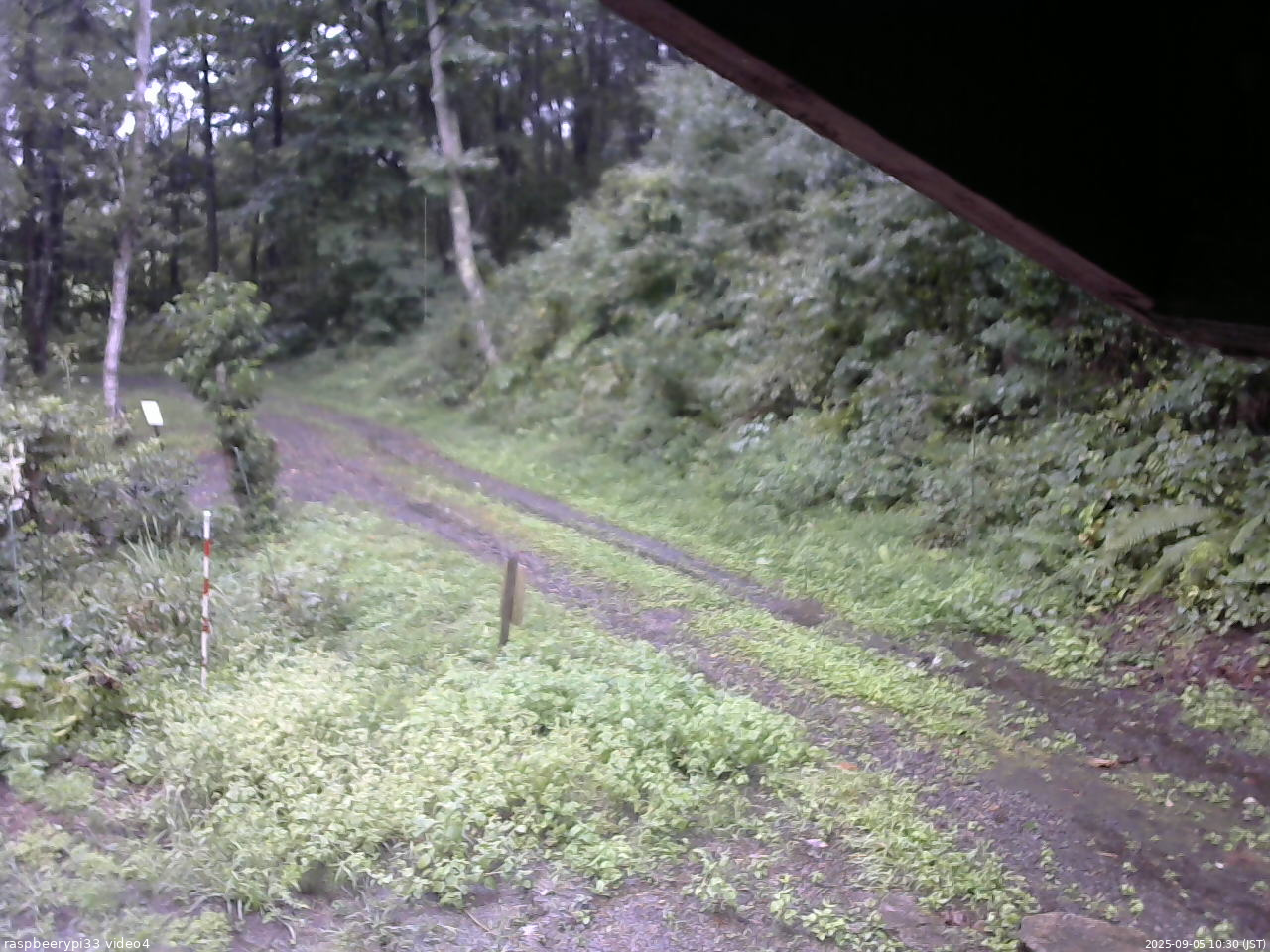 長野県菅平高原 ゆたか山荘 東側(坂下) 2025/09/05 10:30