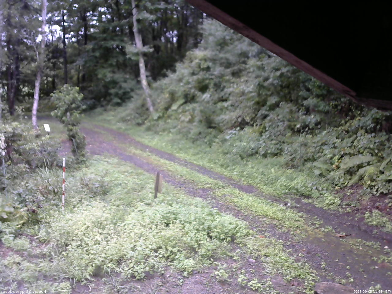 長野県菅平高原 ゆたか山荘 東側(坂下) 2025/09/05 11:45