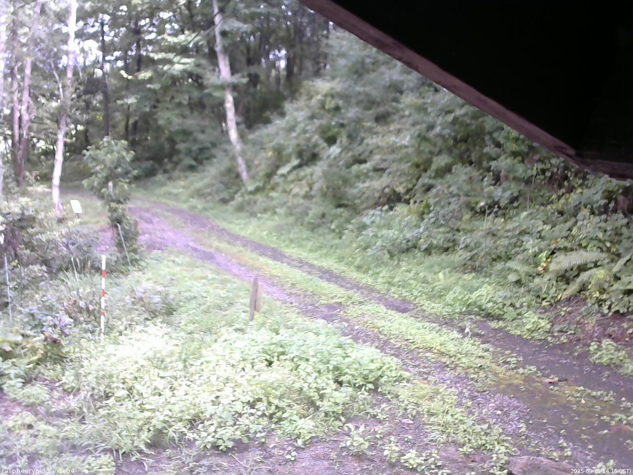 長野県菅平高原 ゆたか山荘 東側(坂下) 2025/09/05 14:15