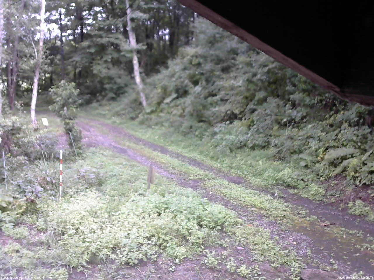 長野県菅平高原 ゆたか山荘 東側(坂下) 2025/09/05 14:30