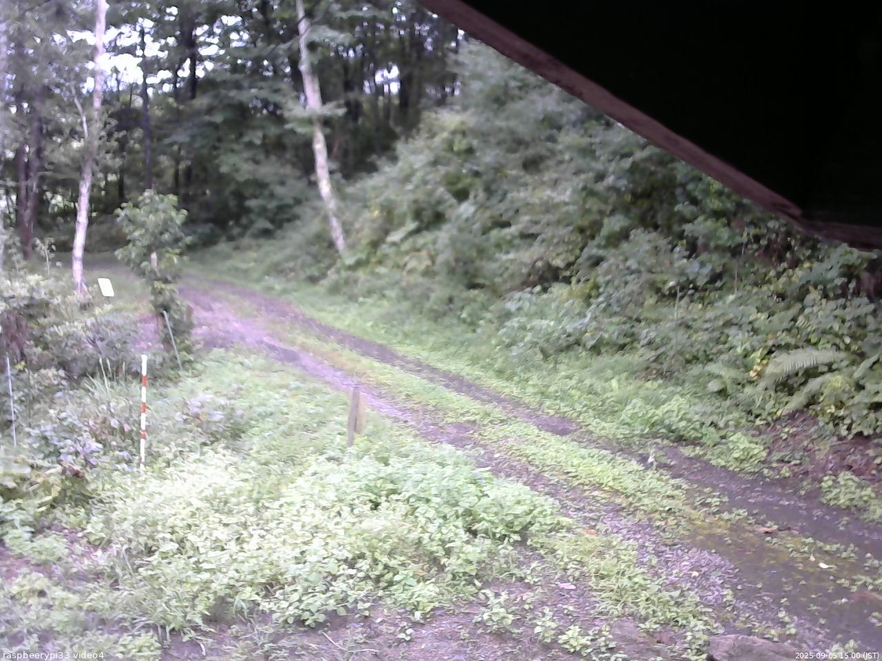 長野県菅平高原 ゆたか山荘 東側(坂下) 2025/09/05 15:00