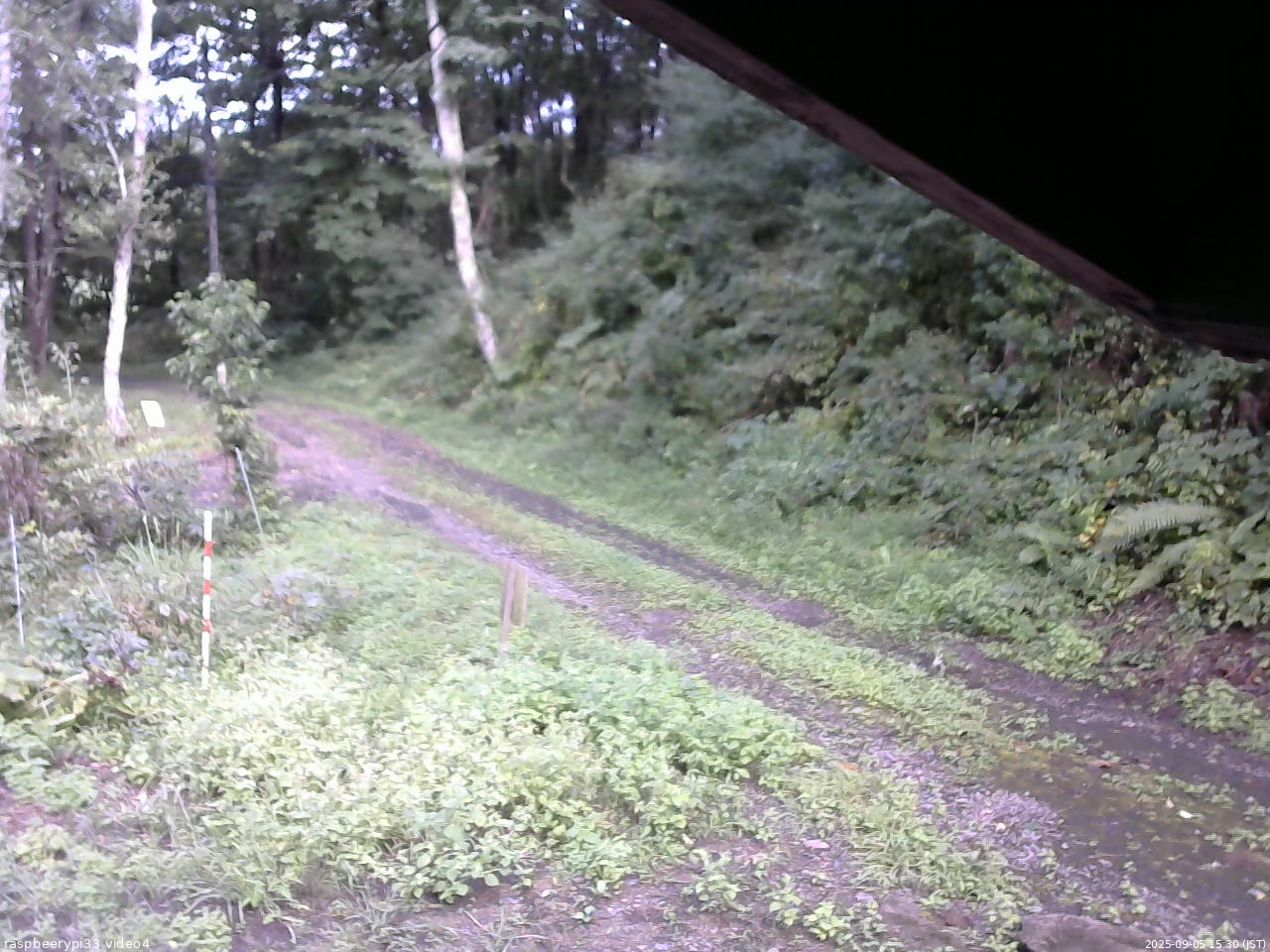 長野県菅平高原 ゆたか山荘 東側(坂下) 2025/09/05 15:30