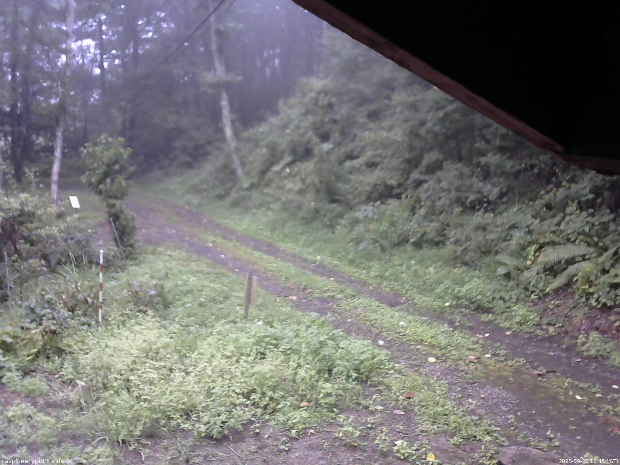 長野県菅平高原 ゆたか山荘 東側(坂下) 2025/09/05 16:45