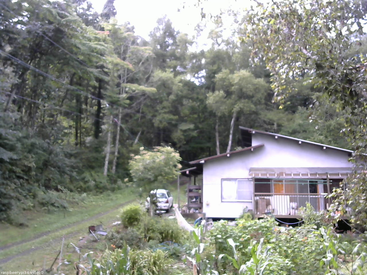 長野県菅平高原 ゆたか山荘 西側(坂上) 2025/09/05 13:30