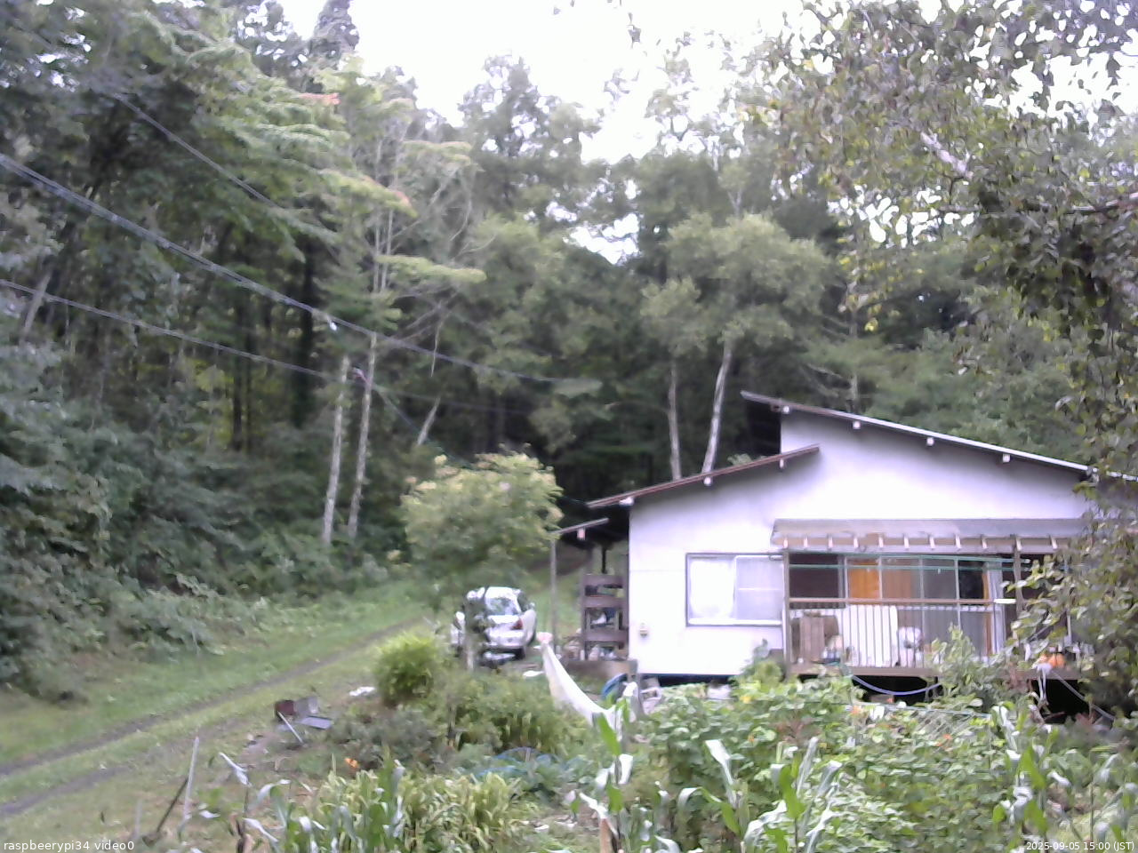 長野県菅平高原 ゆたか山荘 西側(坂上) 2025/09/05 15:00