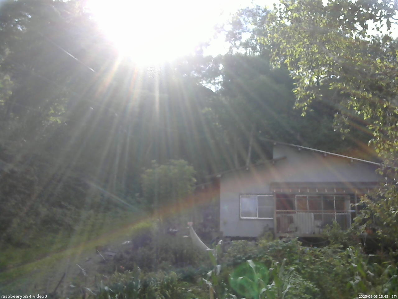 長野県菅平高原 ゆたか山荘 西側(坂上) 2025/09/05 15:45