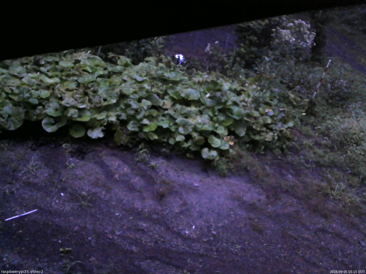 長野県菅平高原 ゆたか山荘 駐車場 2025/09/05 05:15