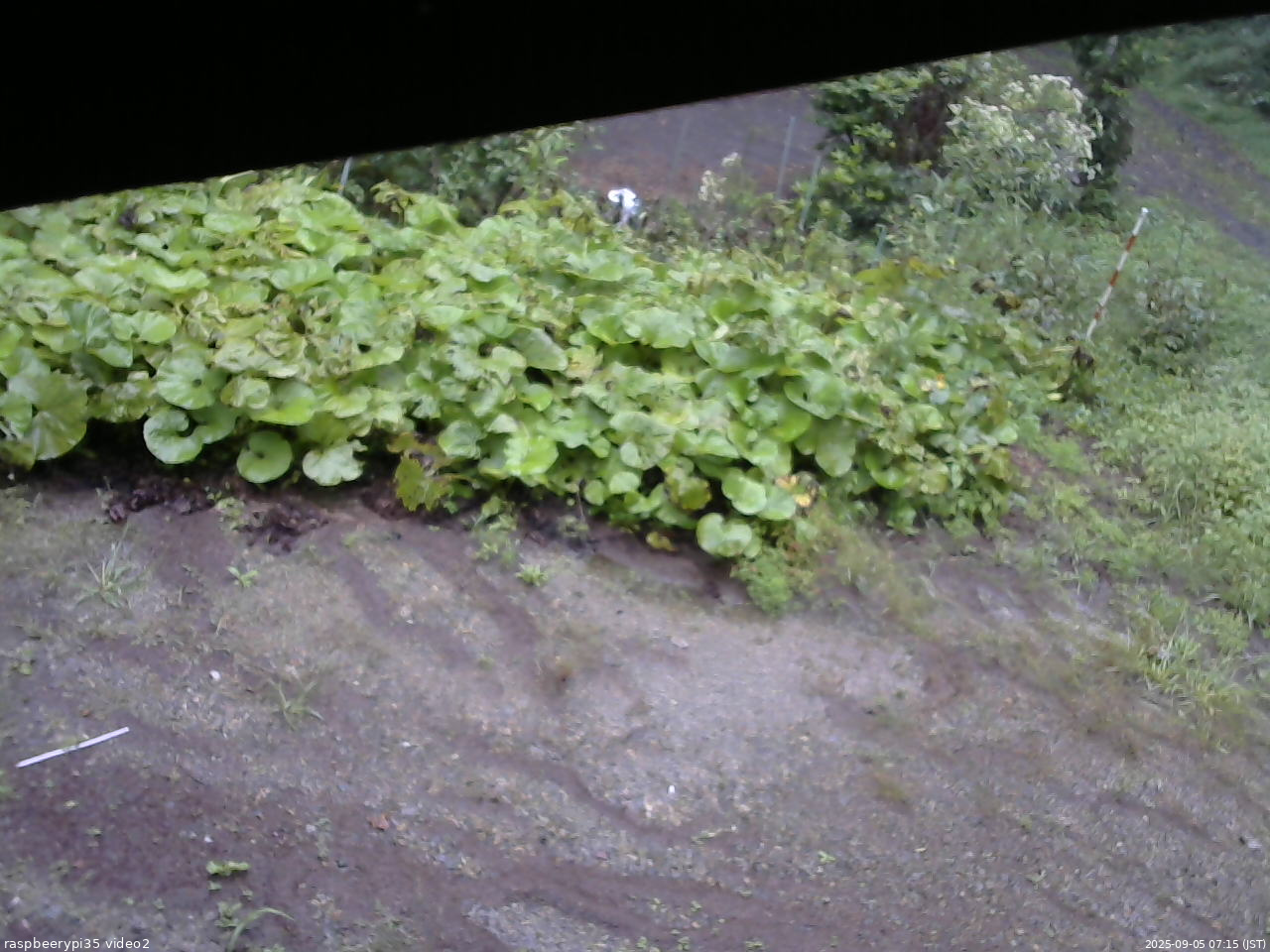長野県菅平高原 ゆたか山荘 駐車場 2025/09/05 07:15