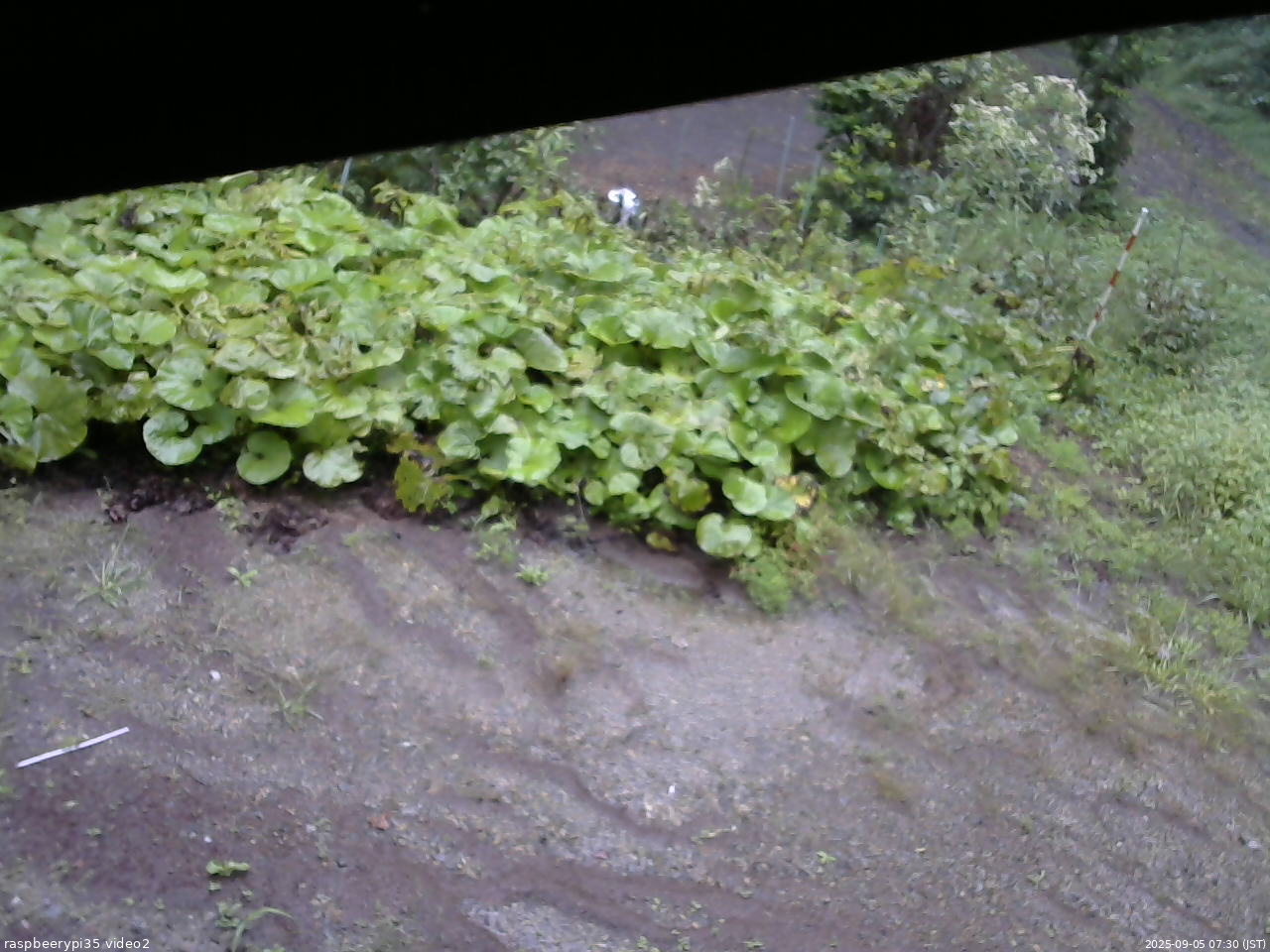 長野県菅平高原 ゆたか山荘 駐車場 2025/09/05 07:30
