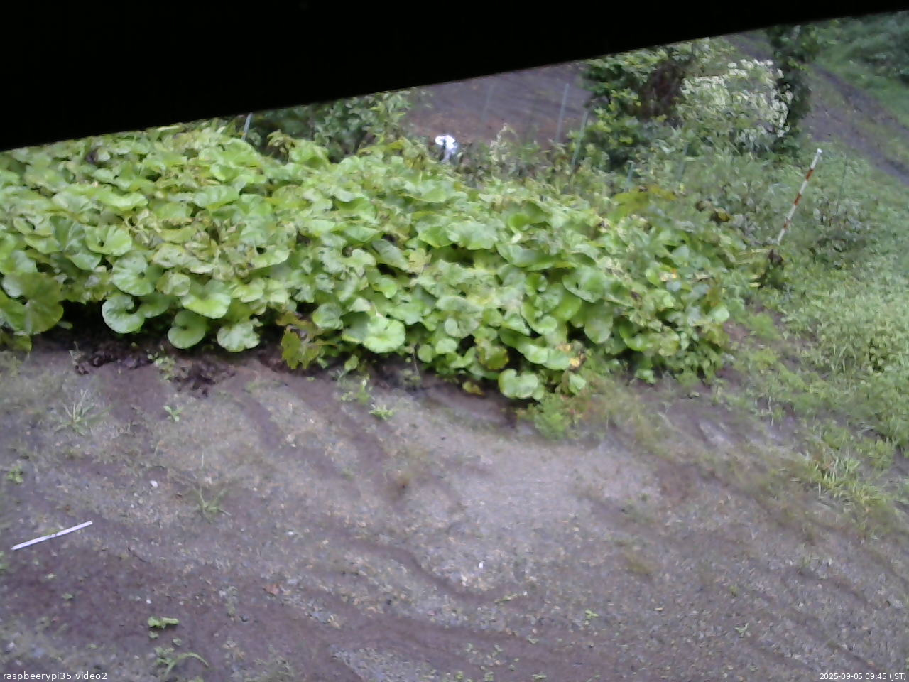 長野県菅平高原 ゆたか山荘 駐車場 2025/09/05 09:45