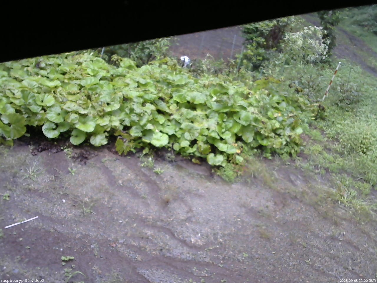 長野県菅平高原 ゆたか山荘 駐車場 2025/09/05 11:00