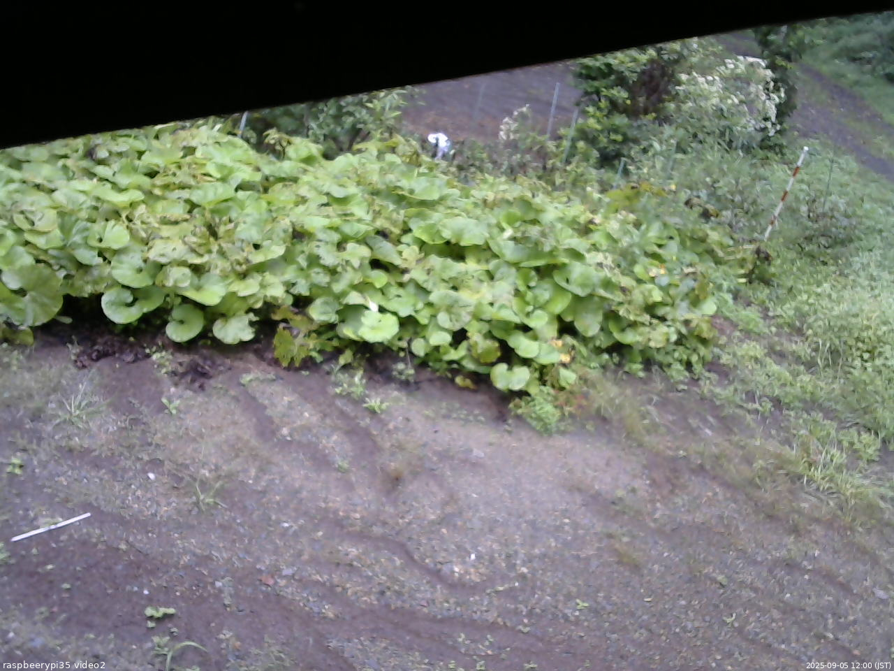 長野県菅平高原 ゆたか山荘 駐車場 2025/09/05 12:00
