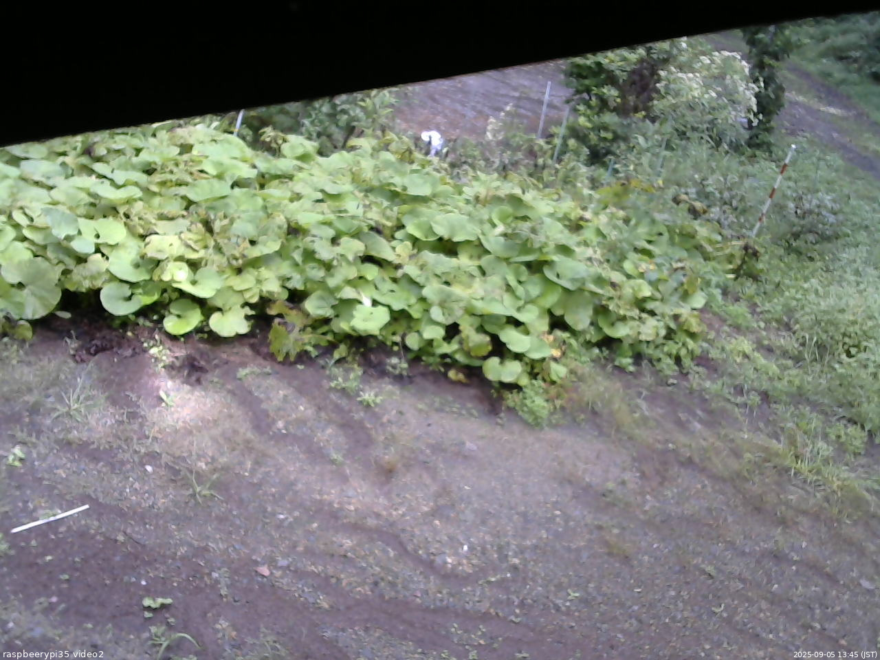長野県菅平高原 ゆたか山荘 駐車場 2025/09/05 13:45