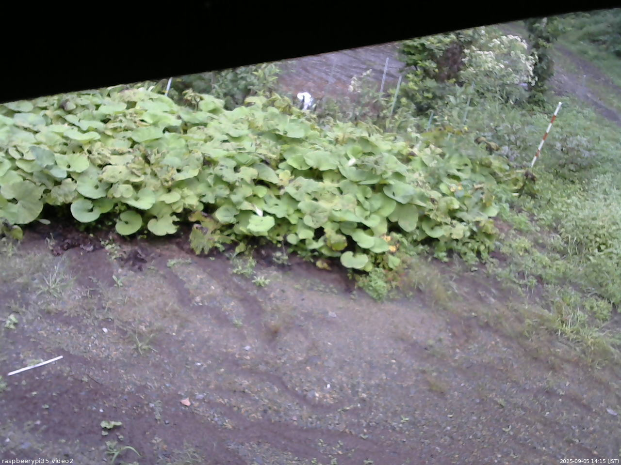 長野県菅平高原 ゆたか山荘 駐車場 2025/09/05 14:15