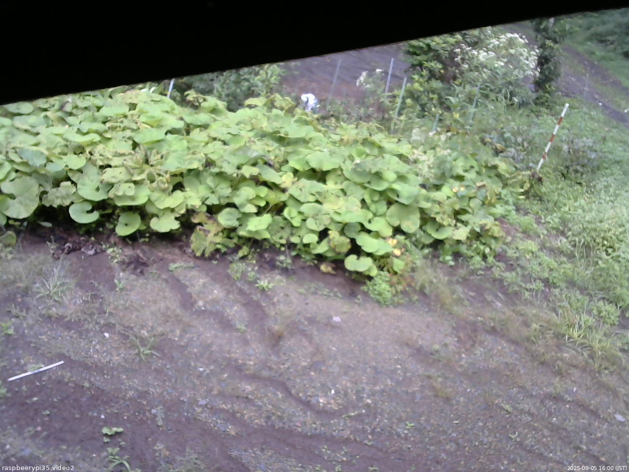 長野県菅平高原 ゆたか山荘 駐車場 2025/09/05 16:00
