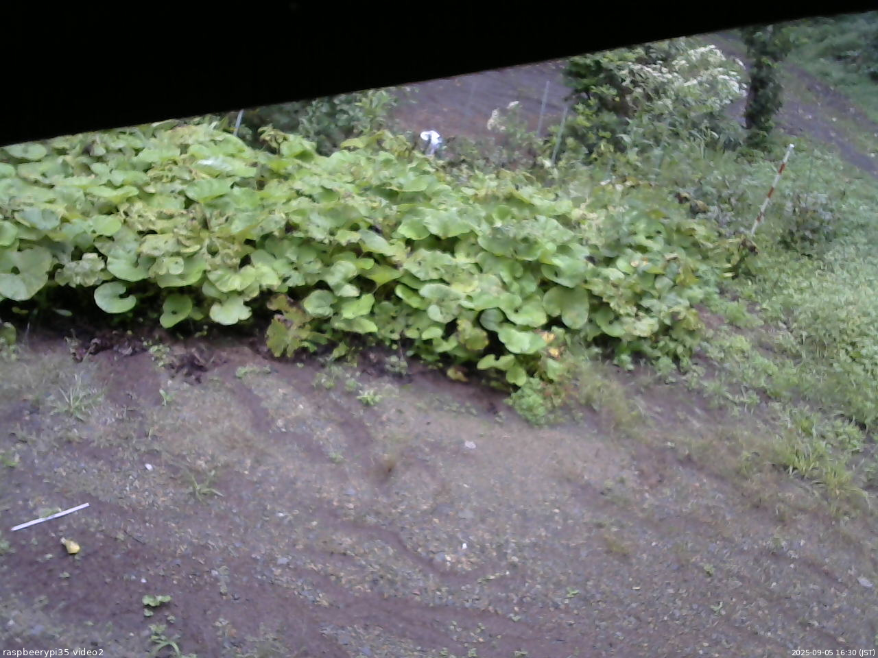 長野県菅平高原 ゆたか山荘 駐車場 2025/09/05 16:30