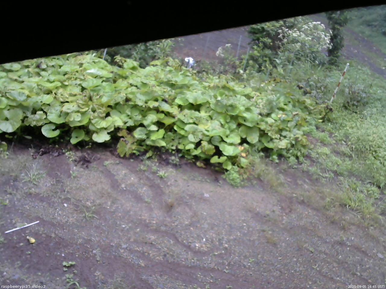 長野県菅平高原 ゆたか山荘 駐車場 2025/09/05 16:45