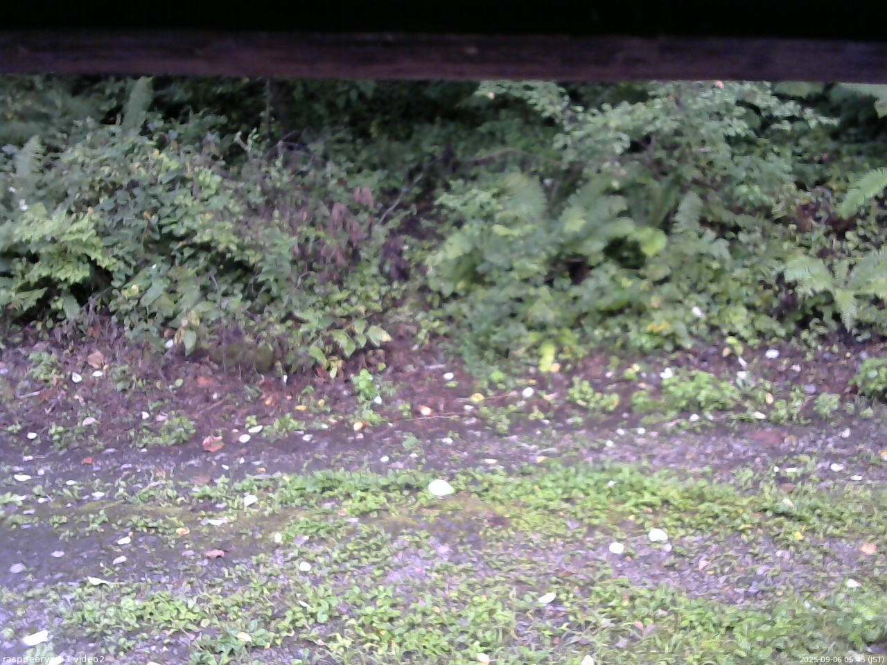 長野県菅平高原 ゆたか山荘 南側 2025/09/06 05:45