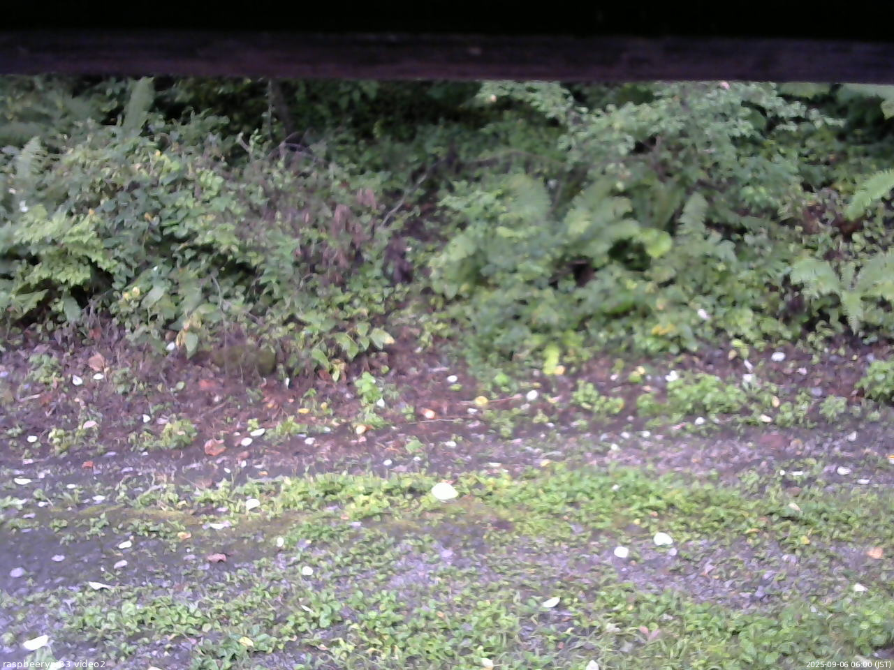 長野県菅平高原 ゆたか山荘 南側 2025/09/06 06:00