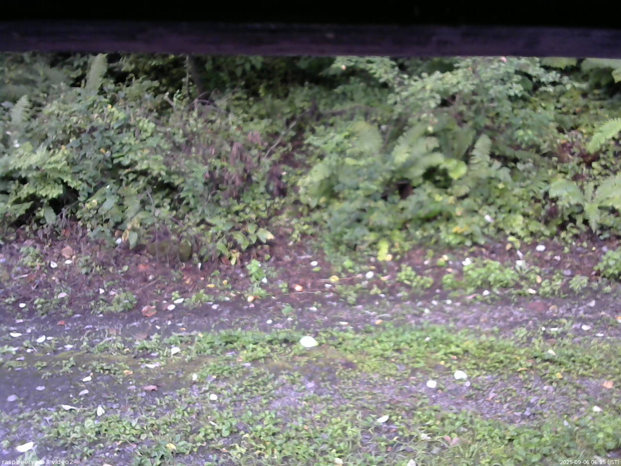 長野県菅平高原 ゆたか山荘 南側 2025/09/06 06:15