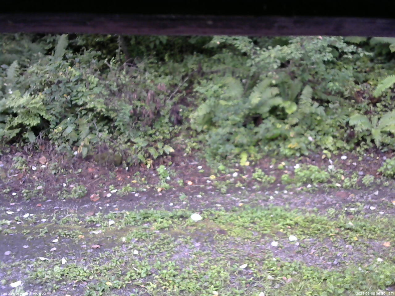 長野県菅平高原 ゆたか山荘 南側 2025/09/06 06:30
