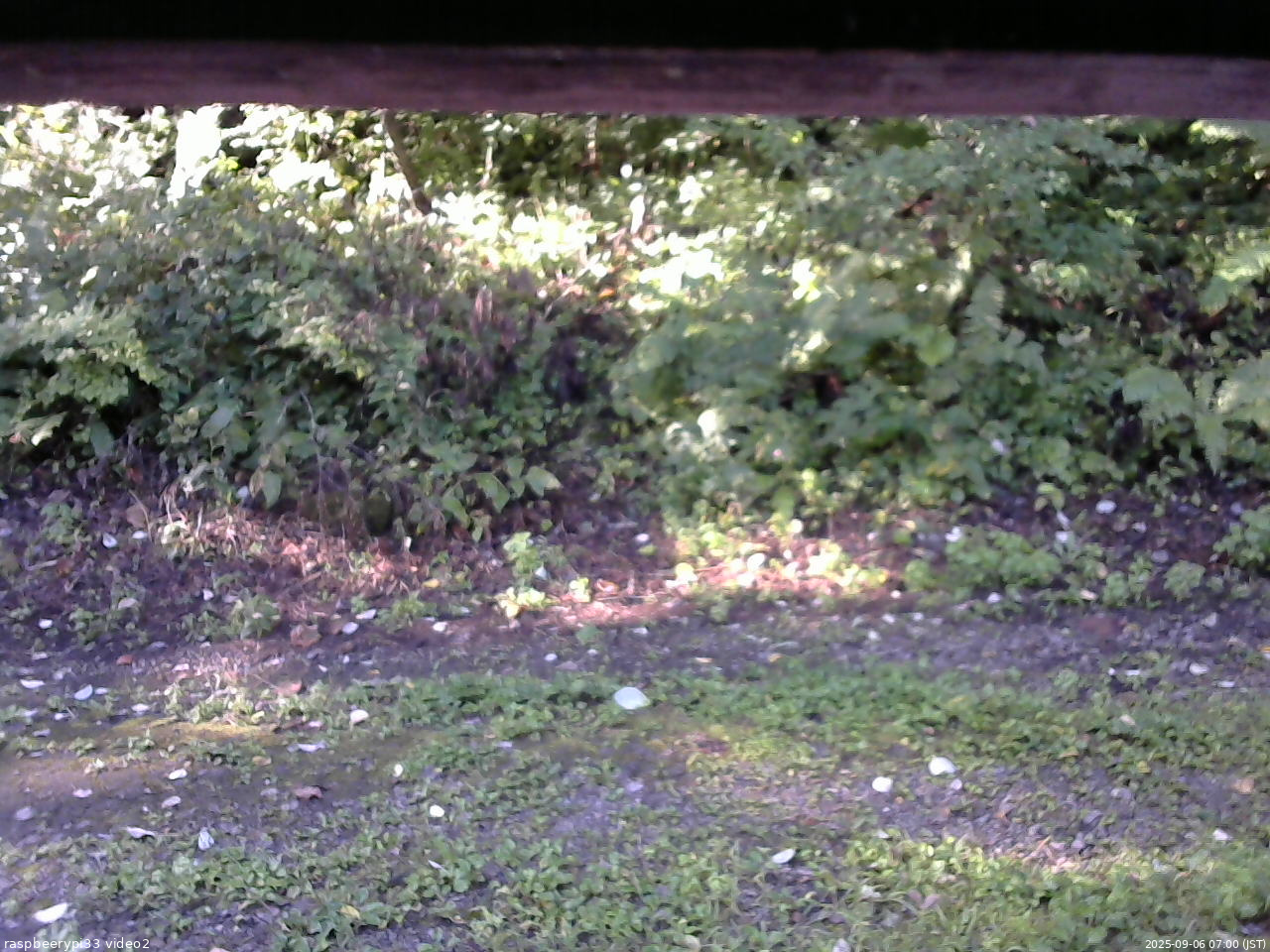 長野県菅平高原 ゆたか山荘 南側 2025/09/06 07:00