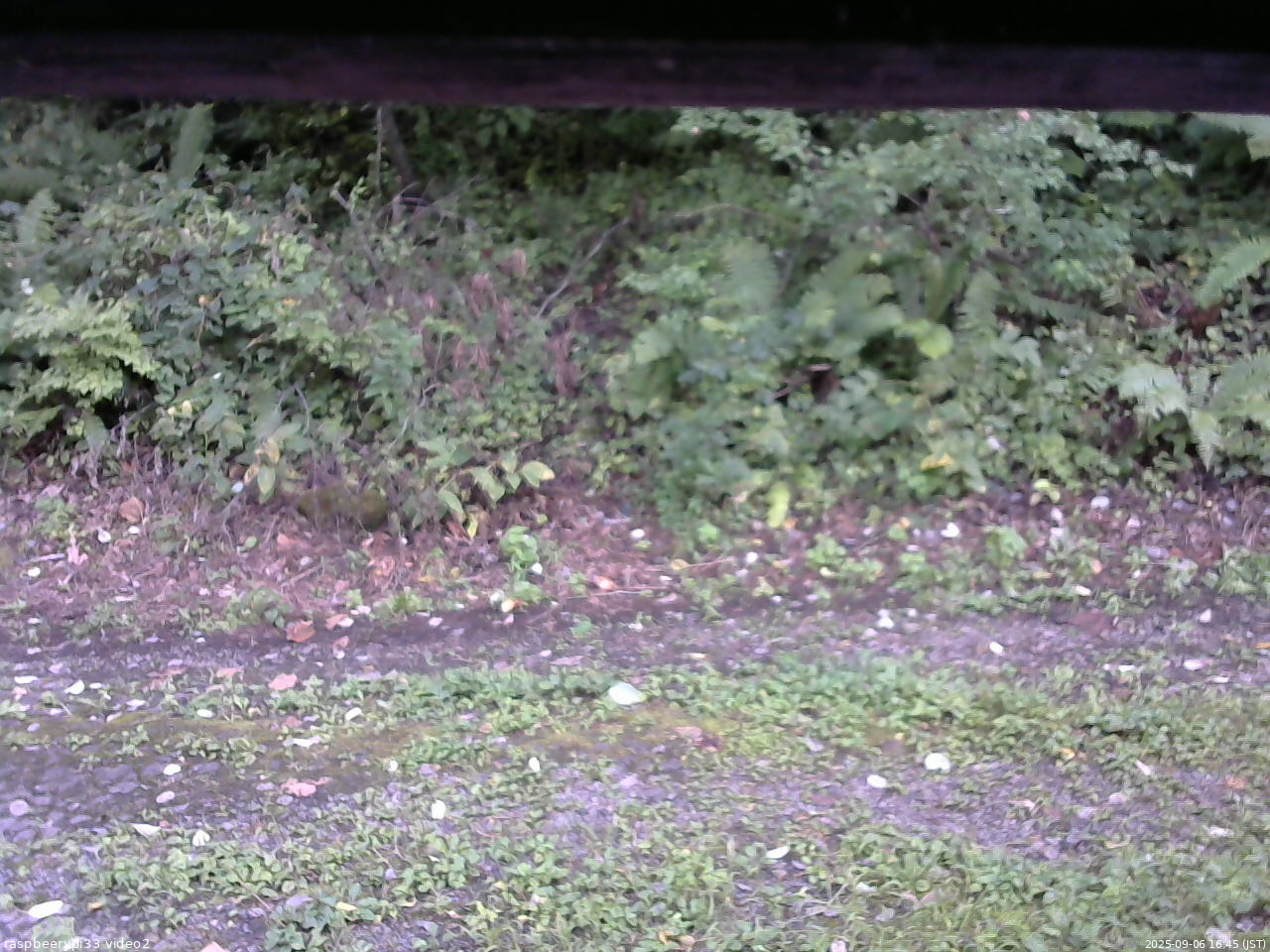 長野県菅平高原 ゆたか山荘 南側 2025/09/06 16:45