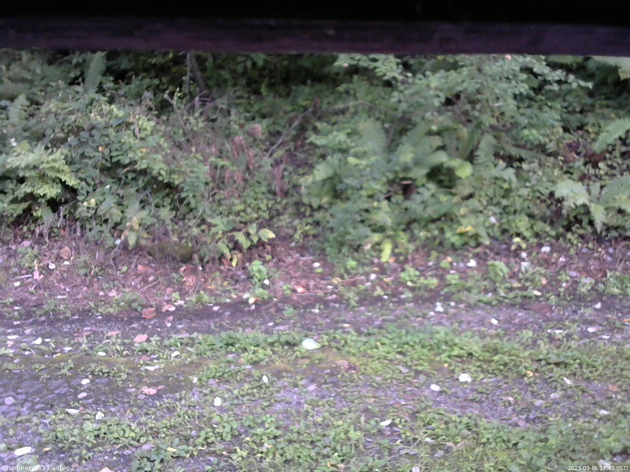 長野県菅平高原 ゆたか山荘 南側 2025/09/06 17:45
