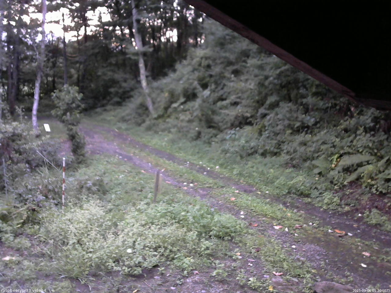 長野県菅平高原 ゆたか山荘 東側(坂下) 2025/09/06 05:30