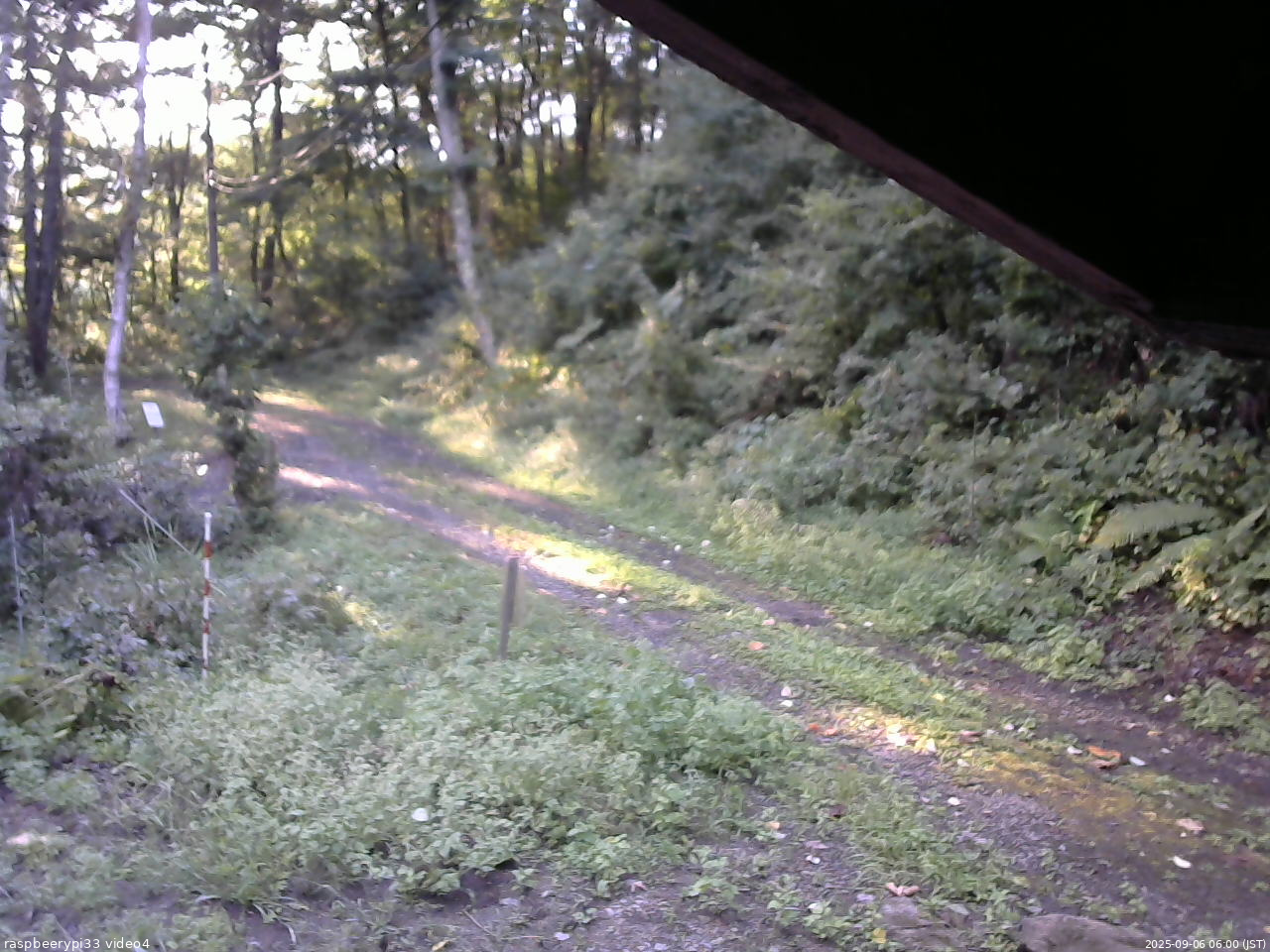 長野県菅平高原 ゆたか山荘 東側(坂下) 2025/09/06 06:00
