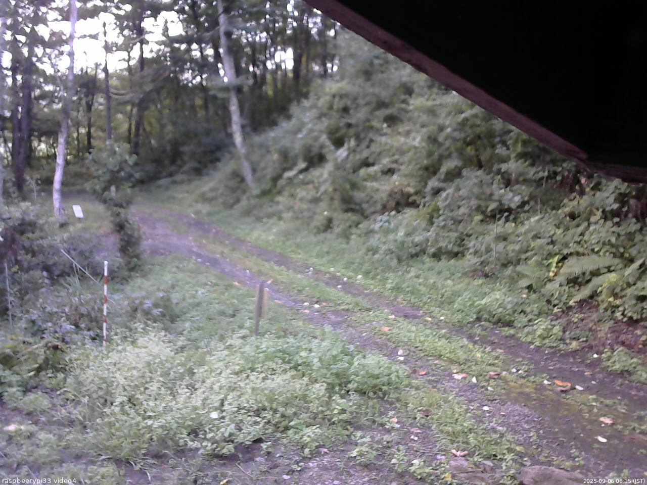 長野県菅平高原 ゆたか山荘 東側(坂下) 2025/09/06 06:15