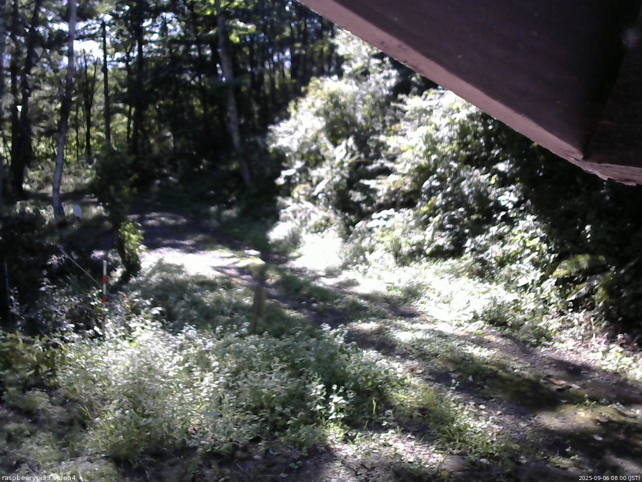 長野県菅平高原 ゆたか山荘 東側(坂下) 2025/09/06 08:00