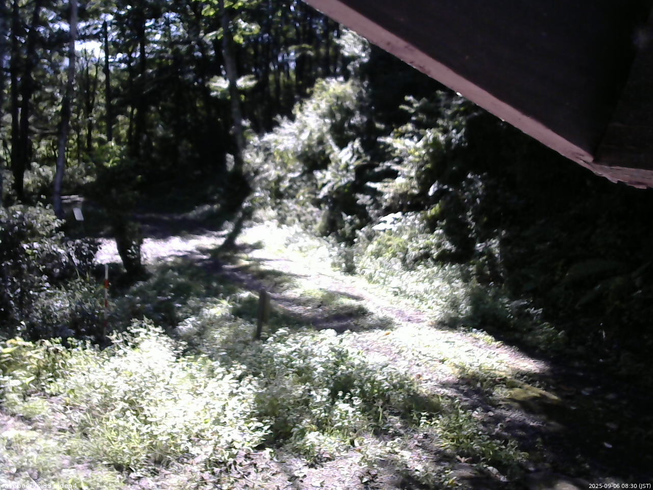 長野県菅平高原 ゆたか山荘 東側(坂下) 2025/09/06 08:30