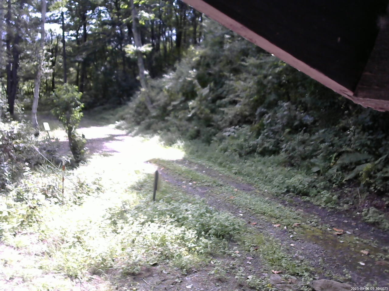 長野県菅平高原 ゆたか山荘 東側(坂下) 2025/09/06 09:30