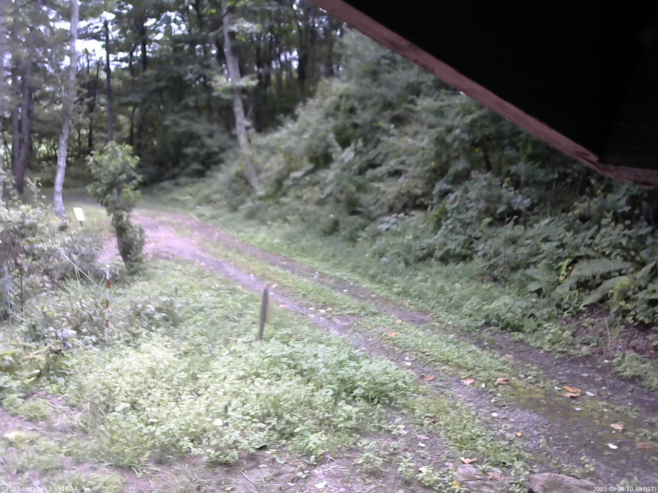 長野県菅平高原 ゆたか山荘 東側(坂下) 2025/09/06 10:45